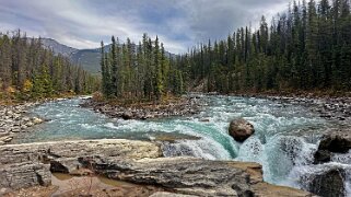 Sunwapta Falls - Parc National de Jasper